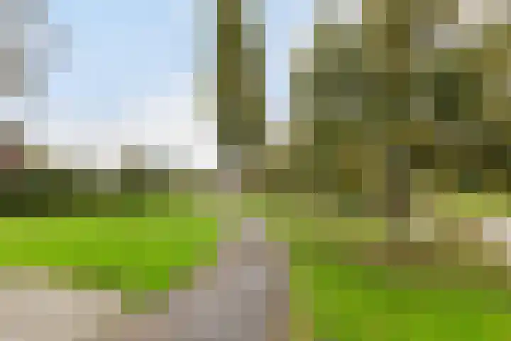 Ellemare 121 Rotterdam thumbnail 42