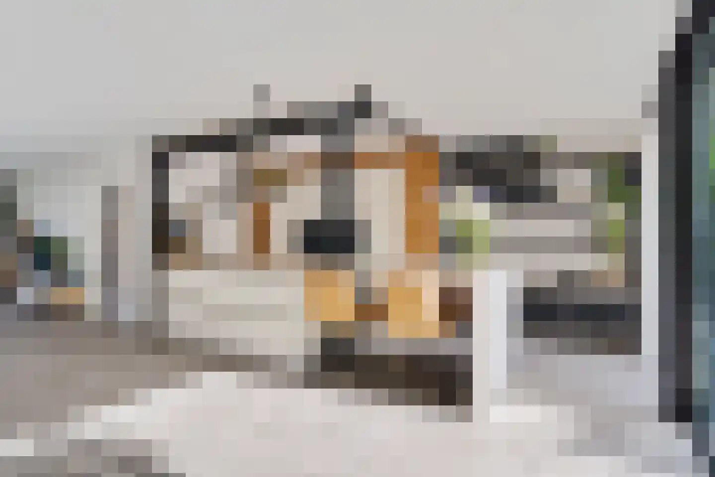 Ellemare 198 Rotterdam thumbnail 18