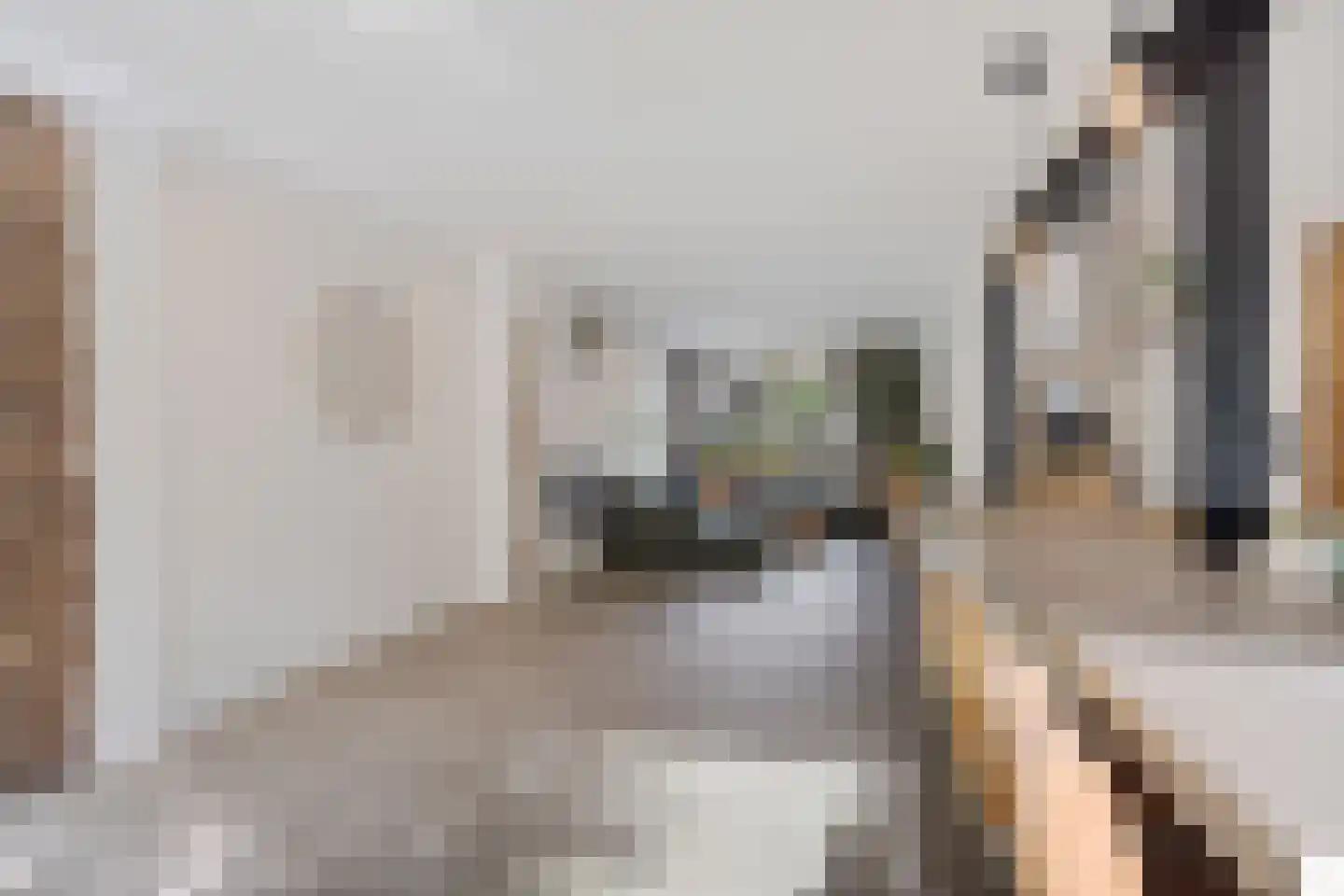 Ellemare 198 Rotterdam thumbnail 23