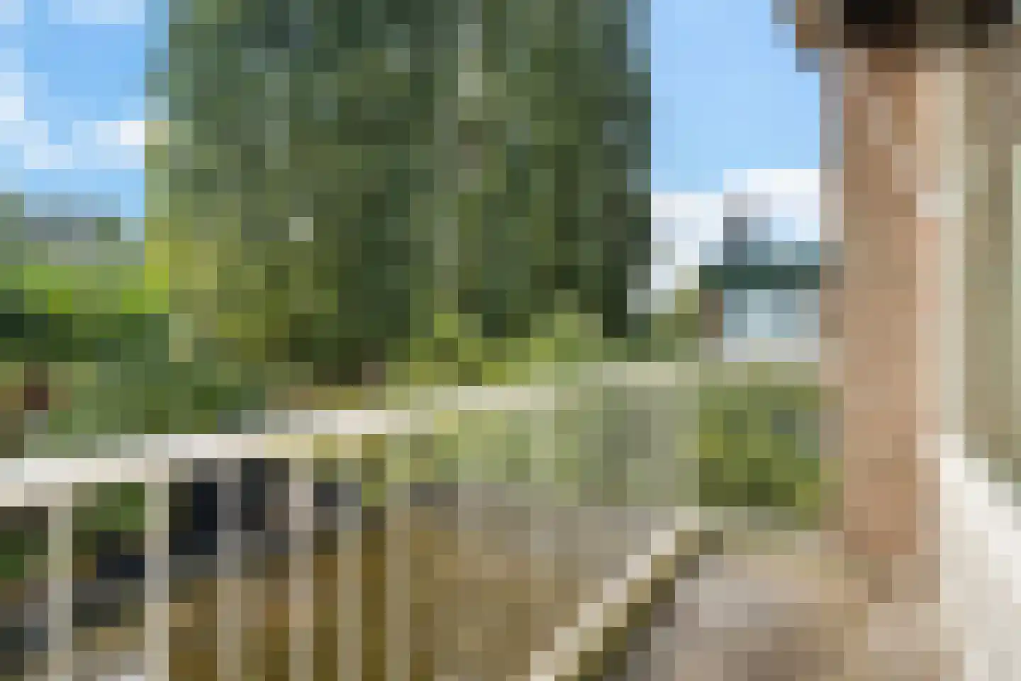 Ellemare 198 Rotterdam thumbnail 35