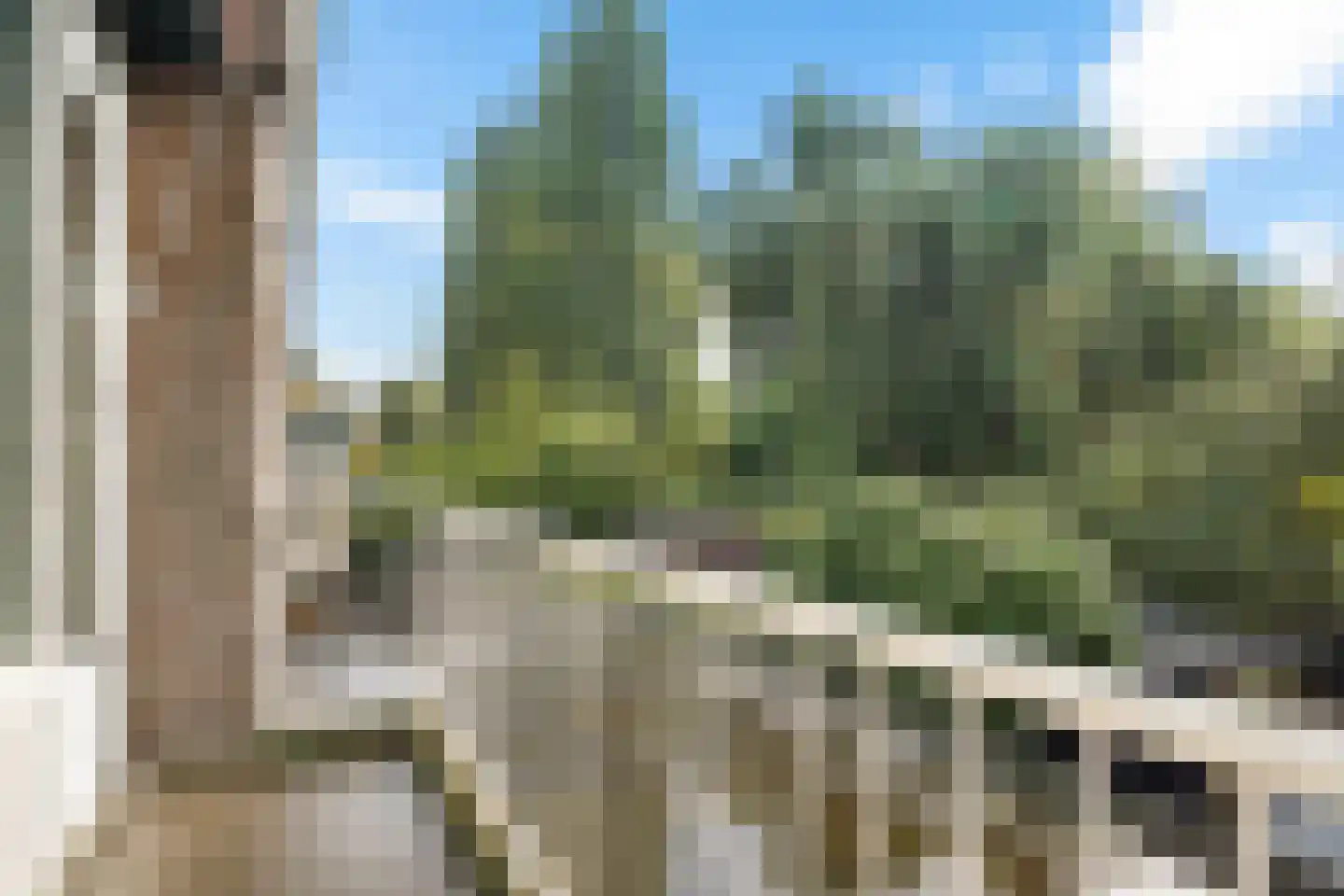 Ellemare 198 Rotterdam thumbnail 36
