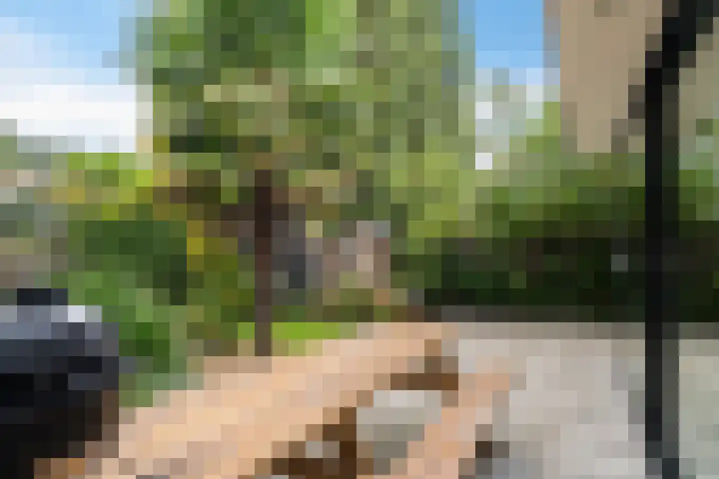 Ellemare 198 Rotterdam thumbnail 45
