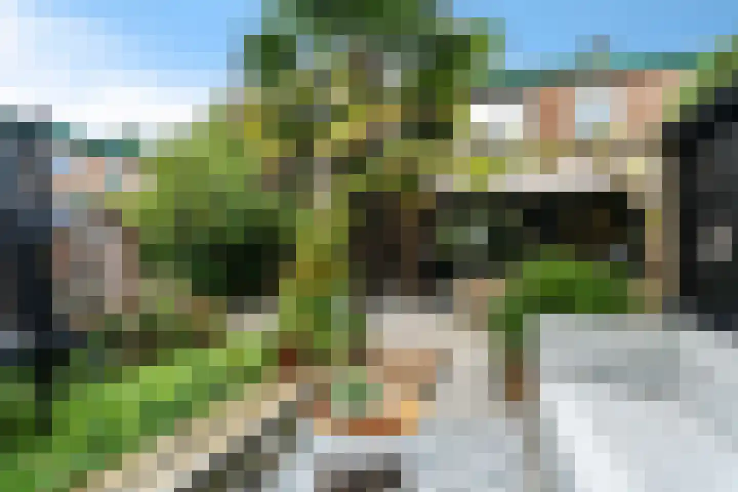 Ellemare 198 Rotterdam thumbnail 52