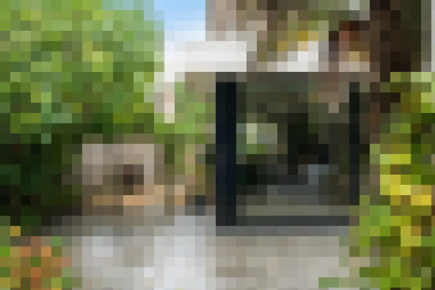 Ellemare 198 Rotterdam thumbnail 53