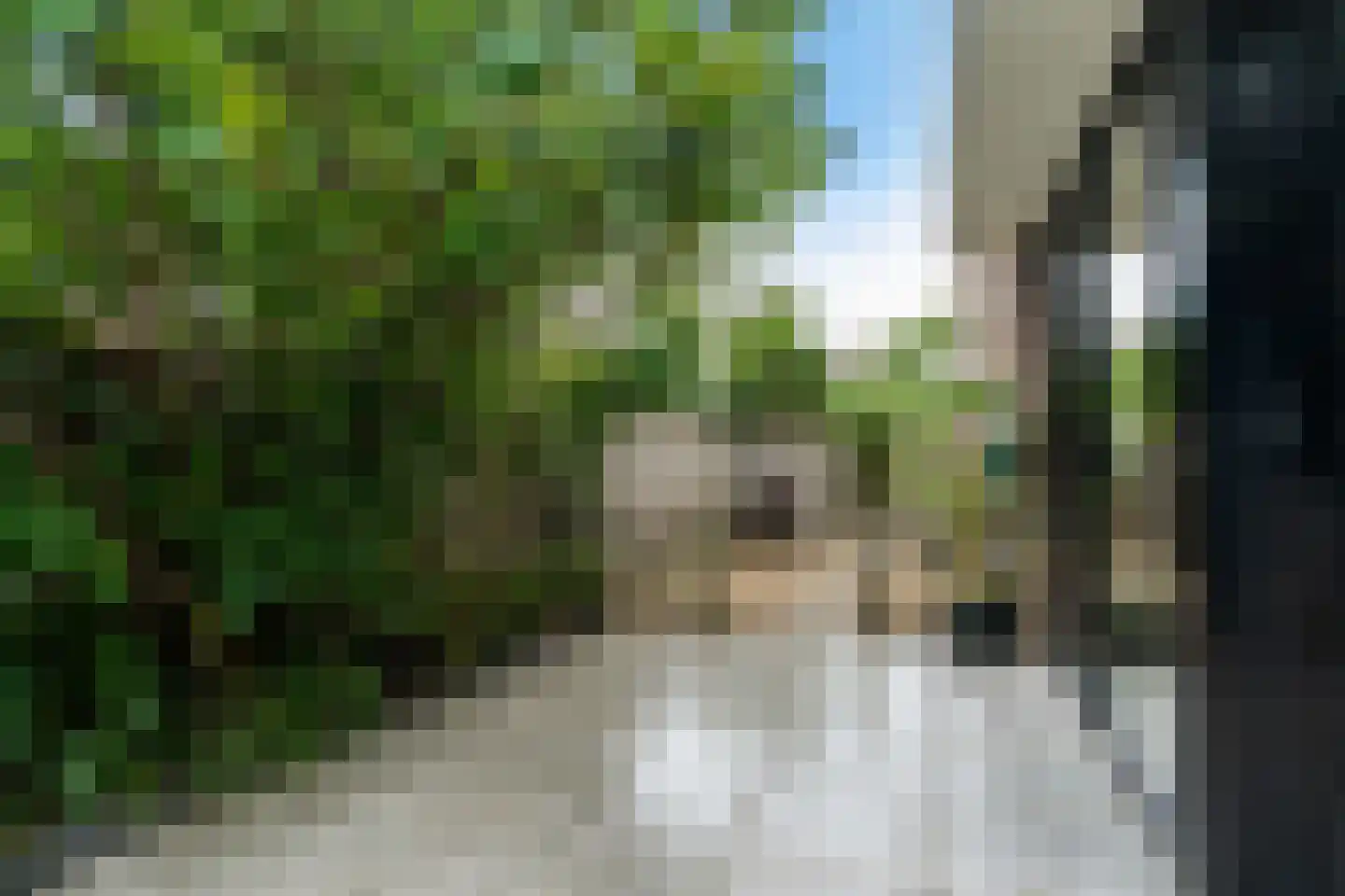 Ellemare 198 Rotterdam thumbnail 54