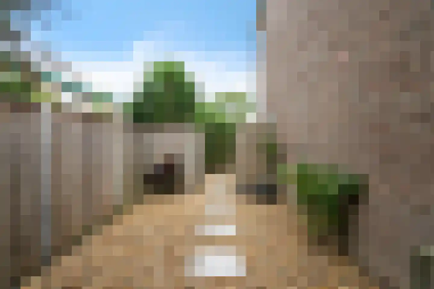 Ellemare 198 Rotterdam thumbnail 55