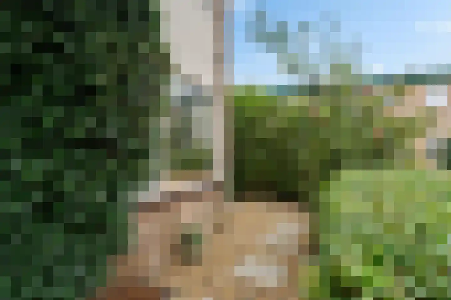 Ellemare 198 Rotterdam thumbnail 57