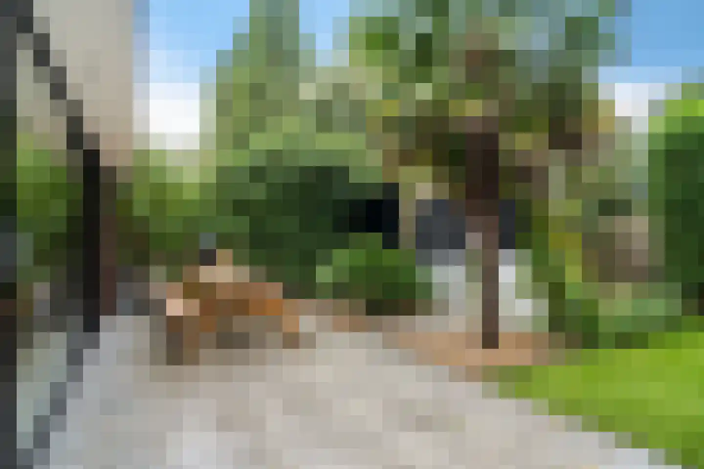 Ellemare 198 Rotterdam thumbnail 7