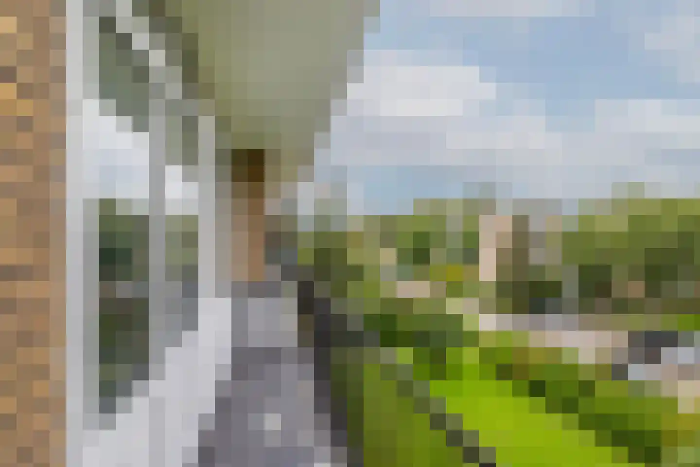 Ellemare 213 Rotterdam thumbnail 27