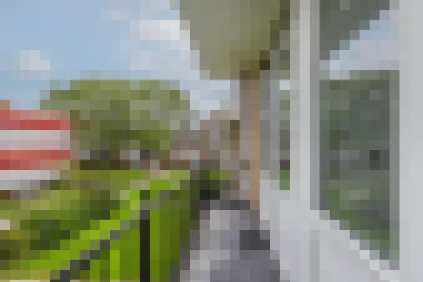 Ellemare 213 Rotterdam thumbnail 28