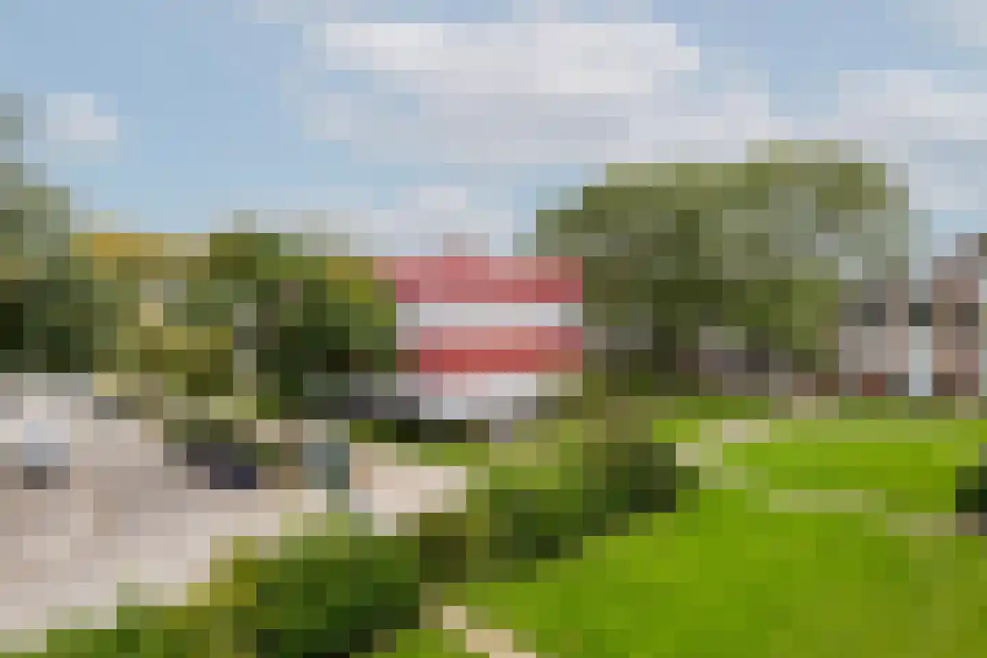 Ellemare 213 Rotterdam thumbnail 29