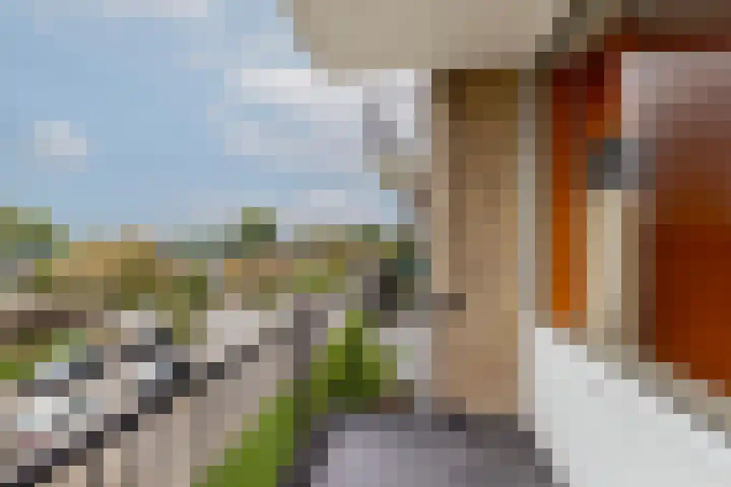 Ellemare 213 Rotterdam thumbnail 33
