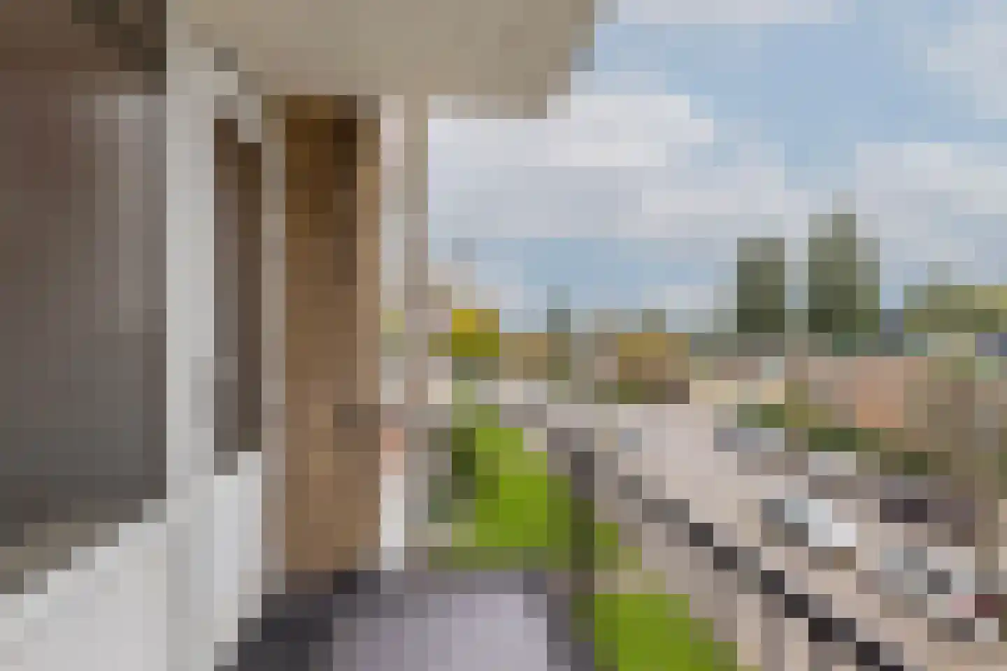 Ellemare 213 Rotterdam thumbnail 34