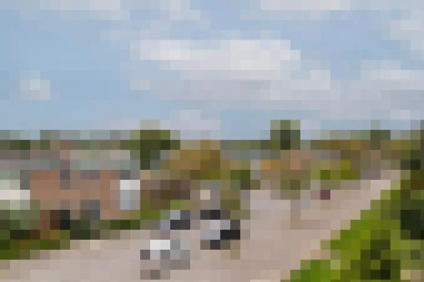 Ellemare 213 Rotterdam thumbnail 35