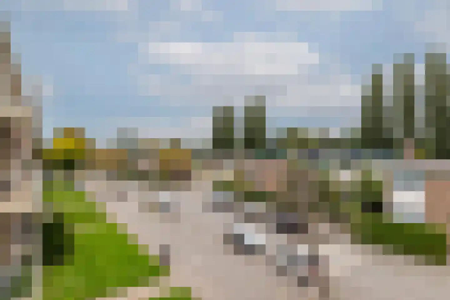 Ellemare 213 Rotterdam thumbnail 37