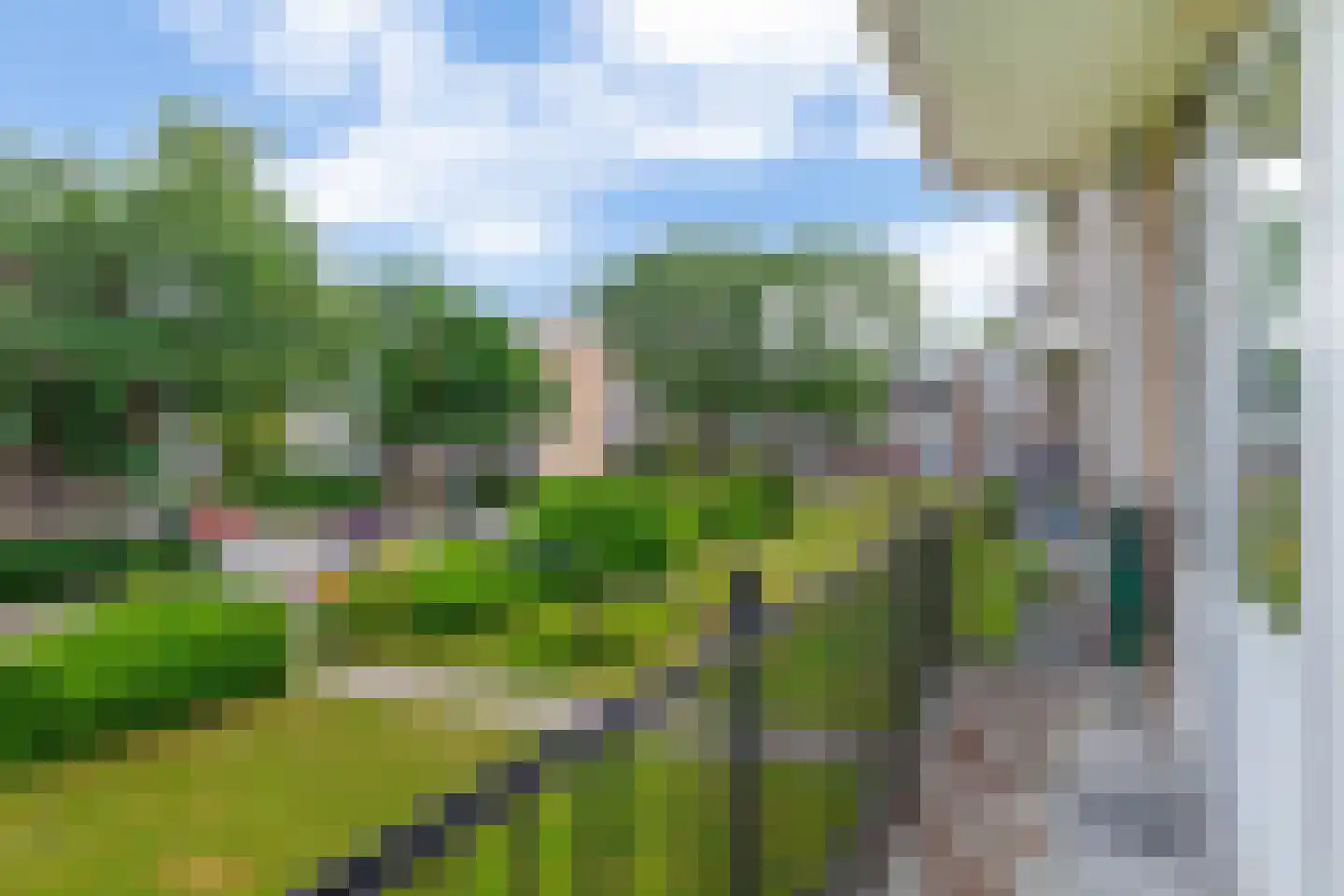 Ellemare 225 Rotterdam thumbnail 34