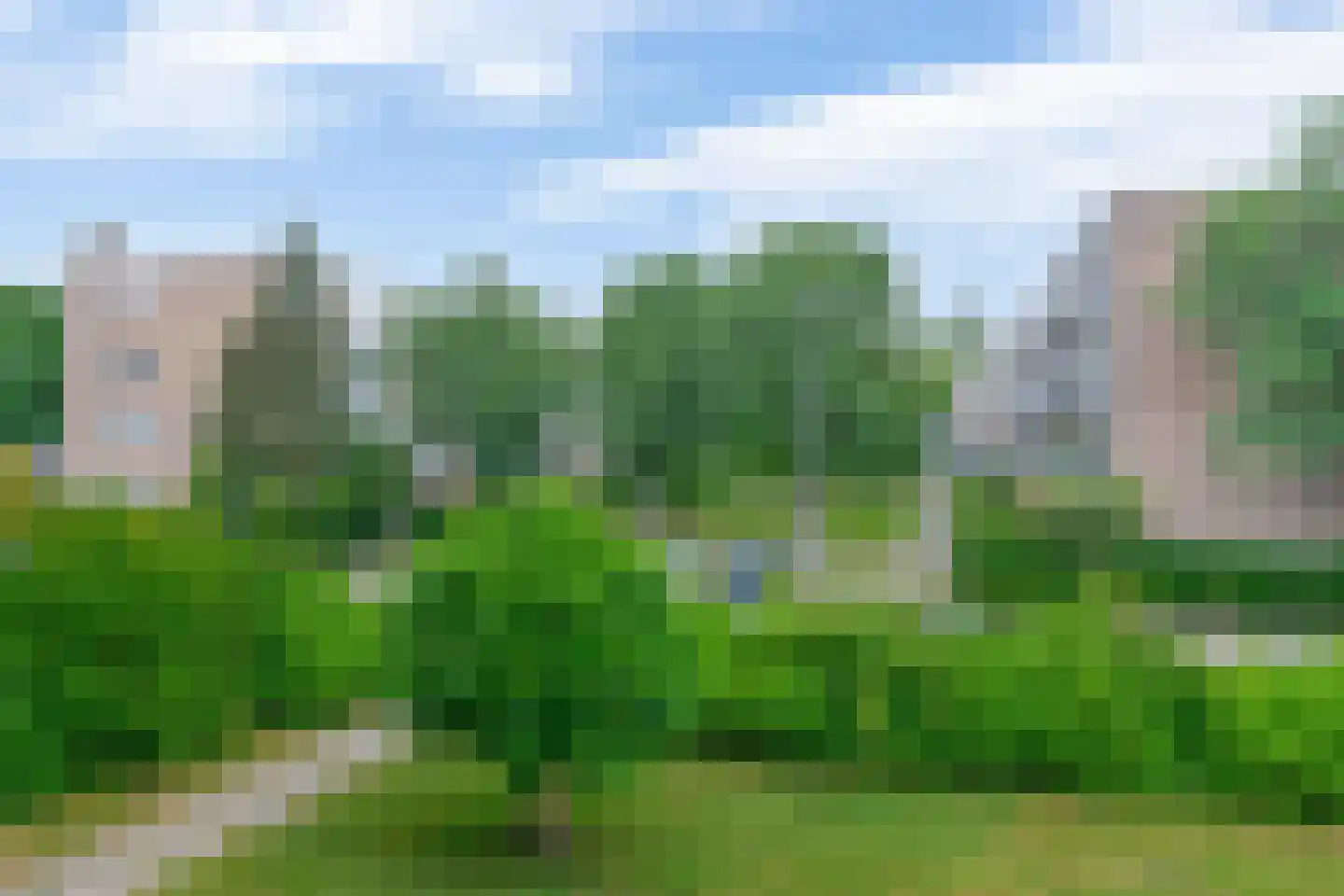 Ellemare 225 Rotterdam thumbnail 35