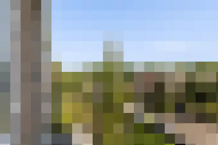 Ellemare 235 Rotterdam thumbnail 11