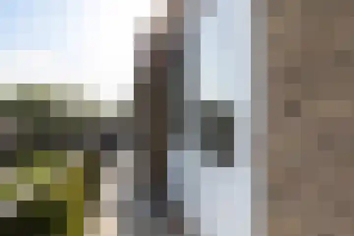 Ellemare 235 Rotterdam thumbnail 13