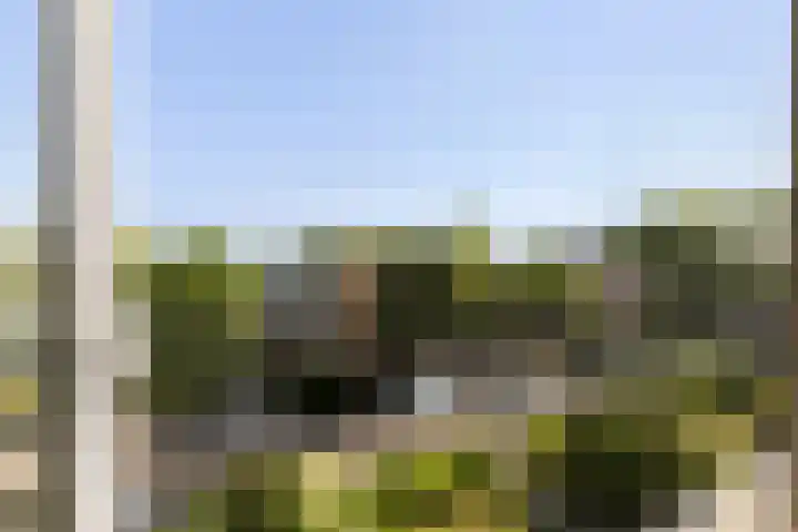 Ellemare 235 Rotterdam thumbnail 19