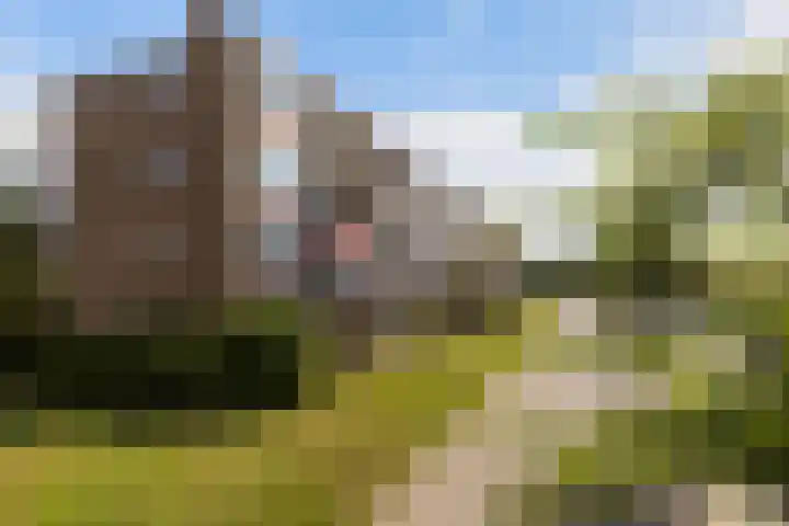 Ellemare 235 Rotterdam thumbnail 5
