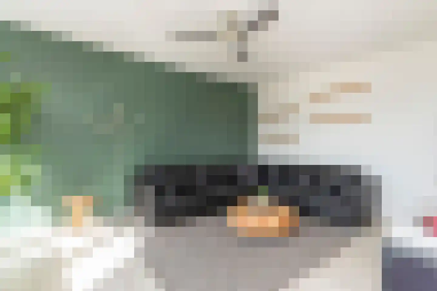 Ellemare 263 Rotterdam thumbnail 13