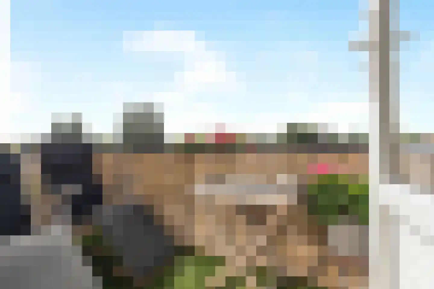 Ellemare 263 Rotterdam thumbnail 30