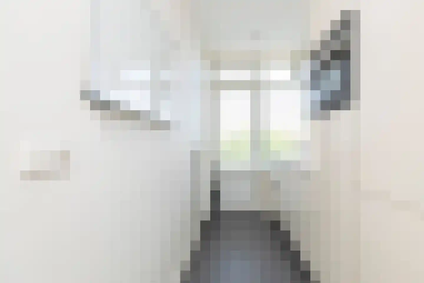 Ellemare 263 Rotterdam thumbnail 5