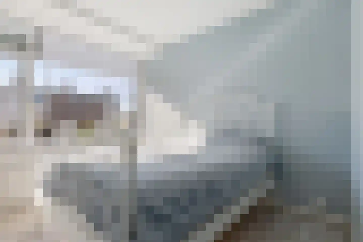 Ellemare 265 Rotterdam thumbnail 19