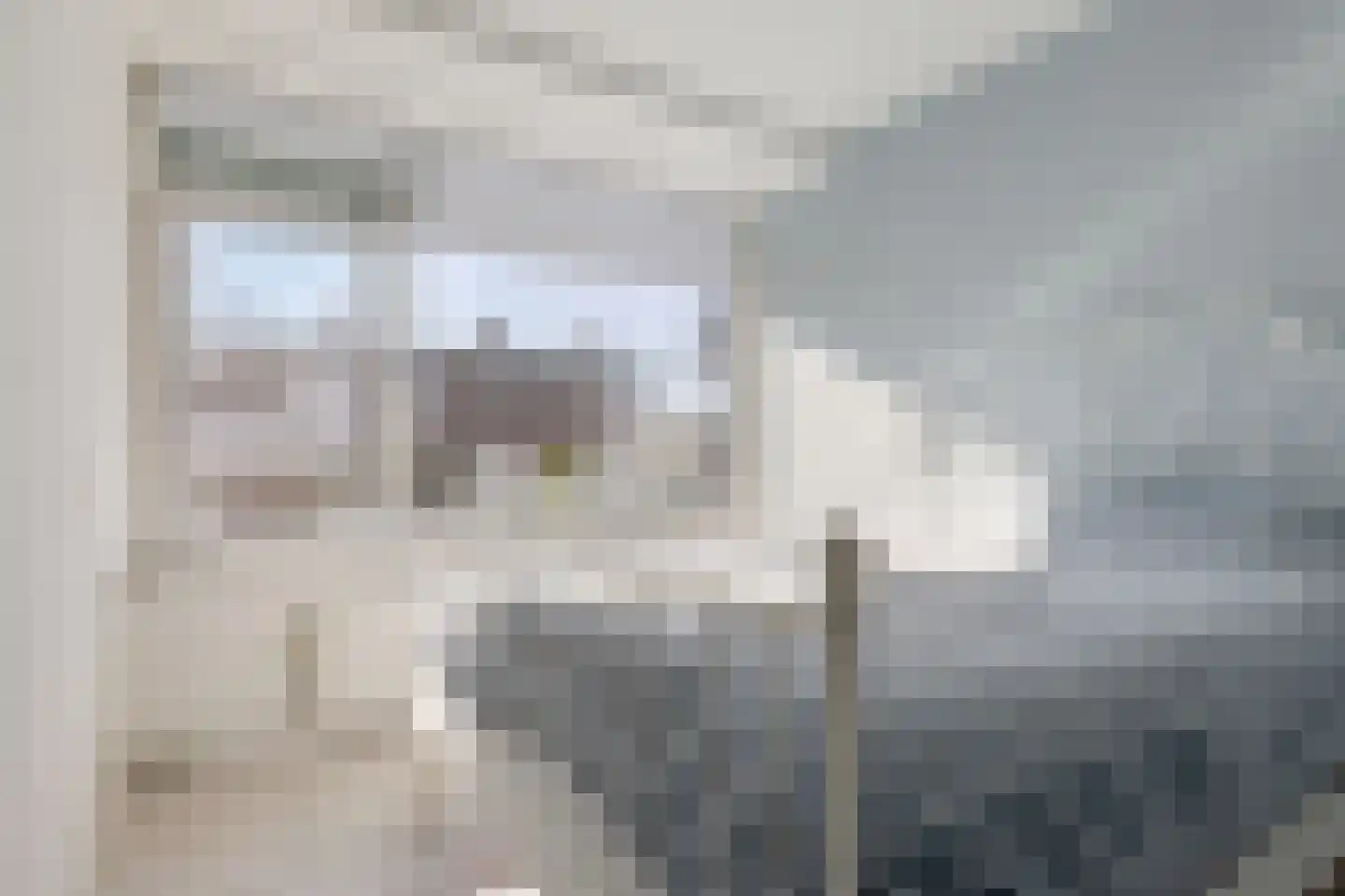Ellemare 265 Rotterdam thumbnail 20