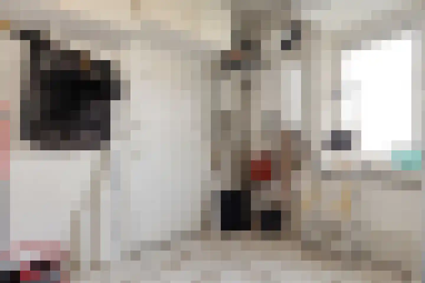Ellemare 265 Rotterdam thumbnail 33