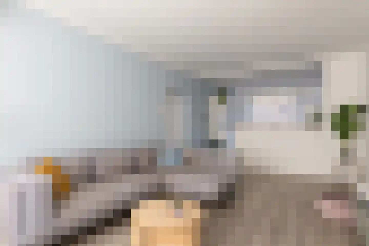 Ellemare 265 Rotterdam thumbnail 8