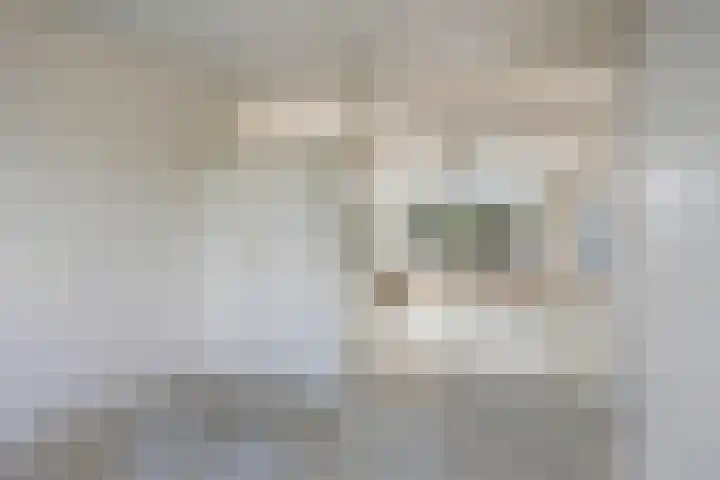 Ellemare 267 Rotterdam thumbnail 10