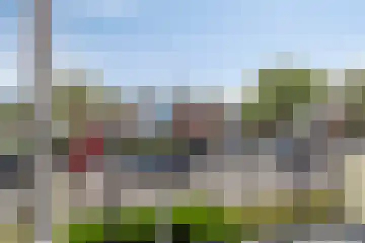 Ellemare 267 Rotterdam thumbnail 15