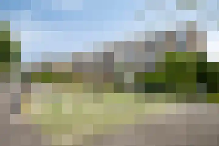 Ellemare 267 Rotterdam thumbnail 20