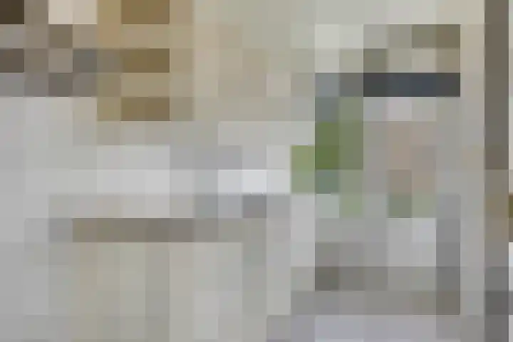 Ellemare 267 Rotterdam thumbnail 4