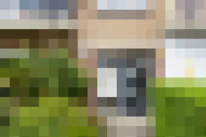 Ellemare 267 Rotterdam thumbnail 5