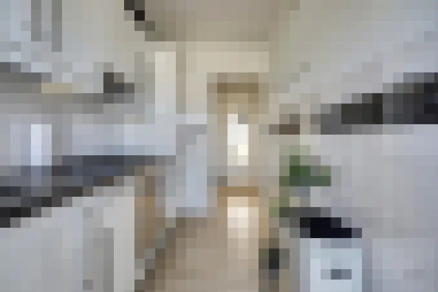 Ellemare 27 Rotterdam thumbnail 11