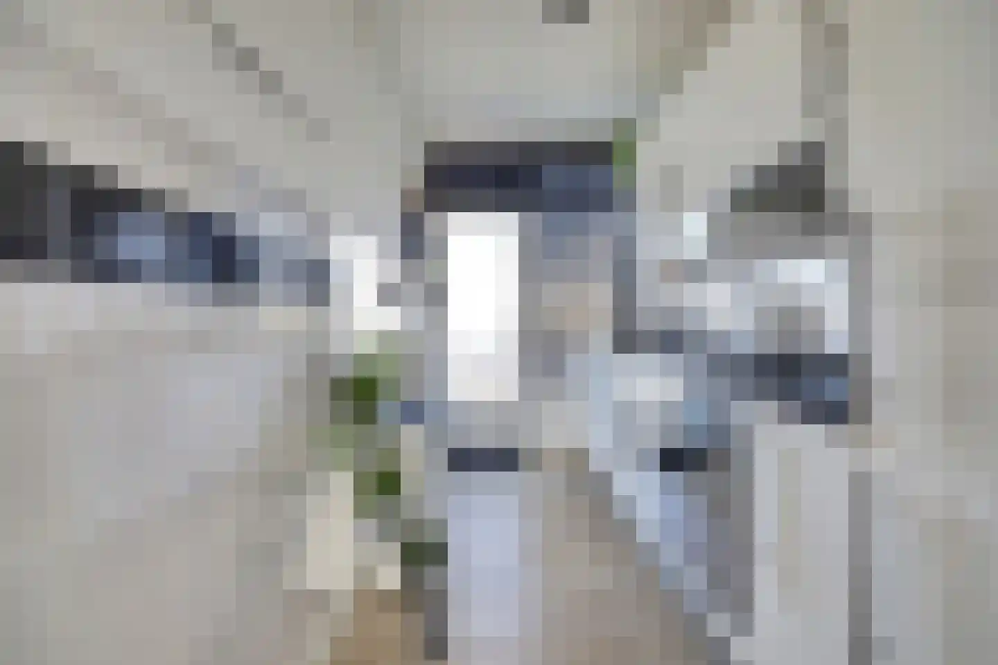 Ellemare 27 Rotterdam thumbnail 12