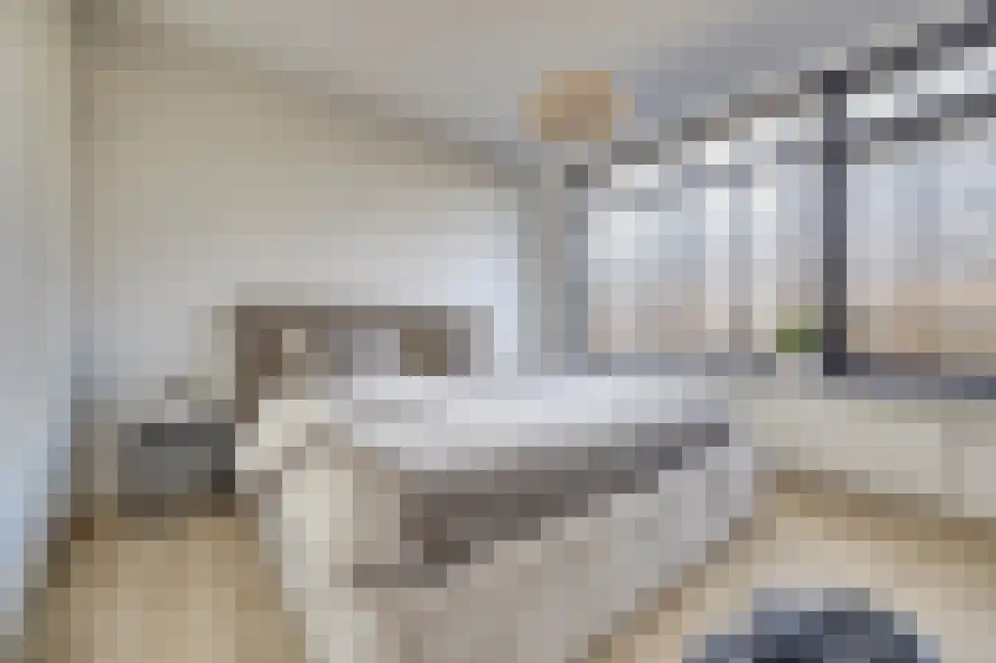 Ellemare 27 Rotterdam thumbnail 15