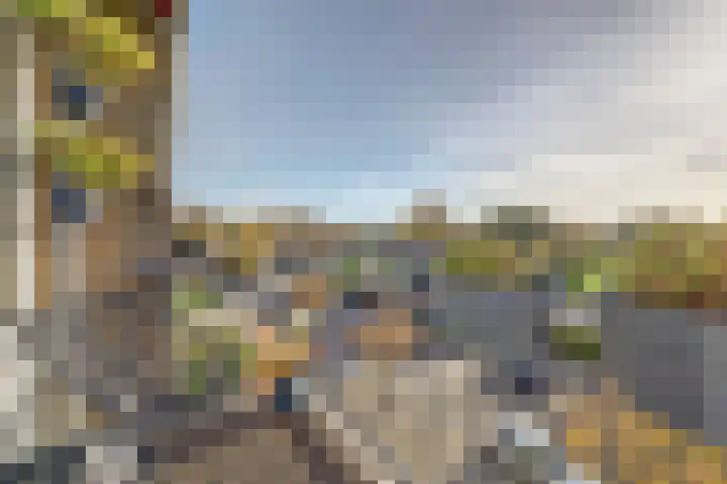 Ellemare 27 Rotterdam thumbnail 4