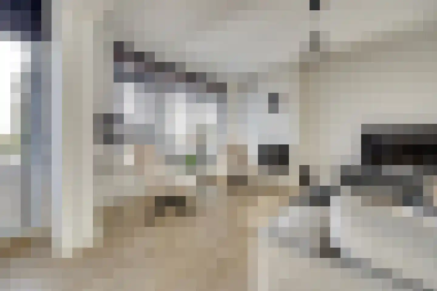 Ellemare 27 Rotterdam thumbnail 6