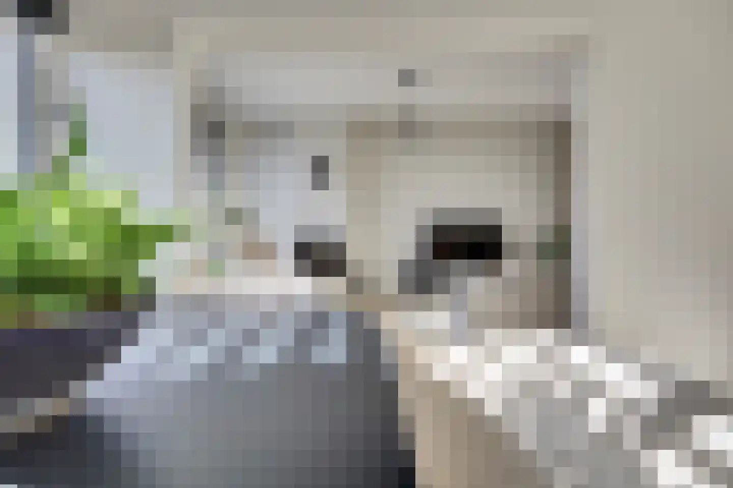 Ellemare 27 Rotterdam thumbnail 8