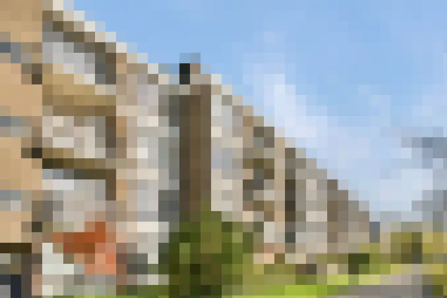 Ellemare 53 Rotterdam thumbnail 22