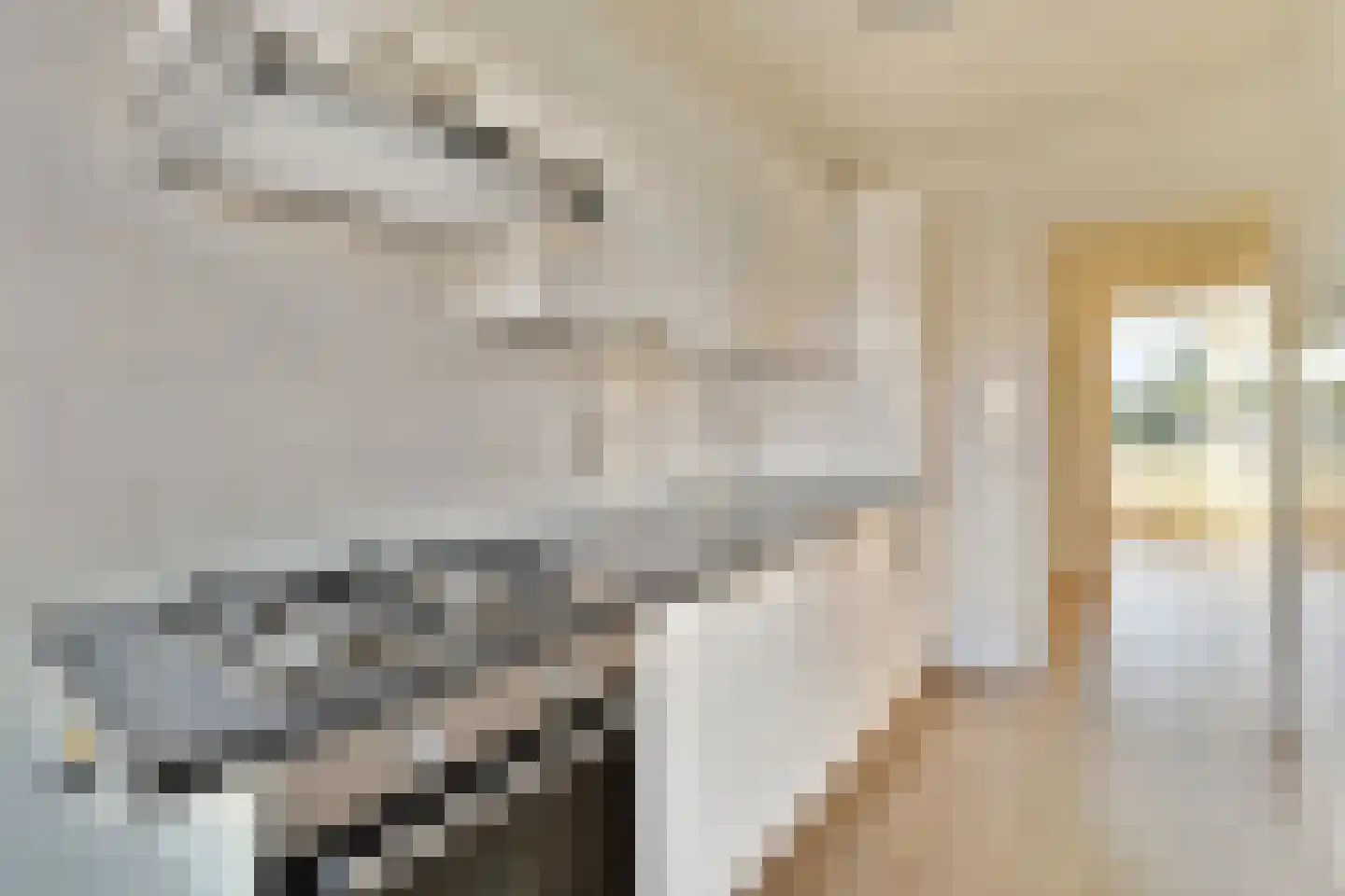 Ellemare 53 Rotterdam thumbnail 8