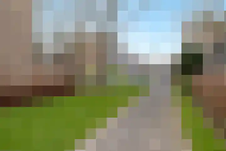 Ellemare 59 Rotterdam thumbnail 33