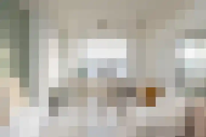 Ellemare 59 Rotterdam thumbnail 7