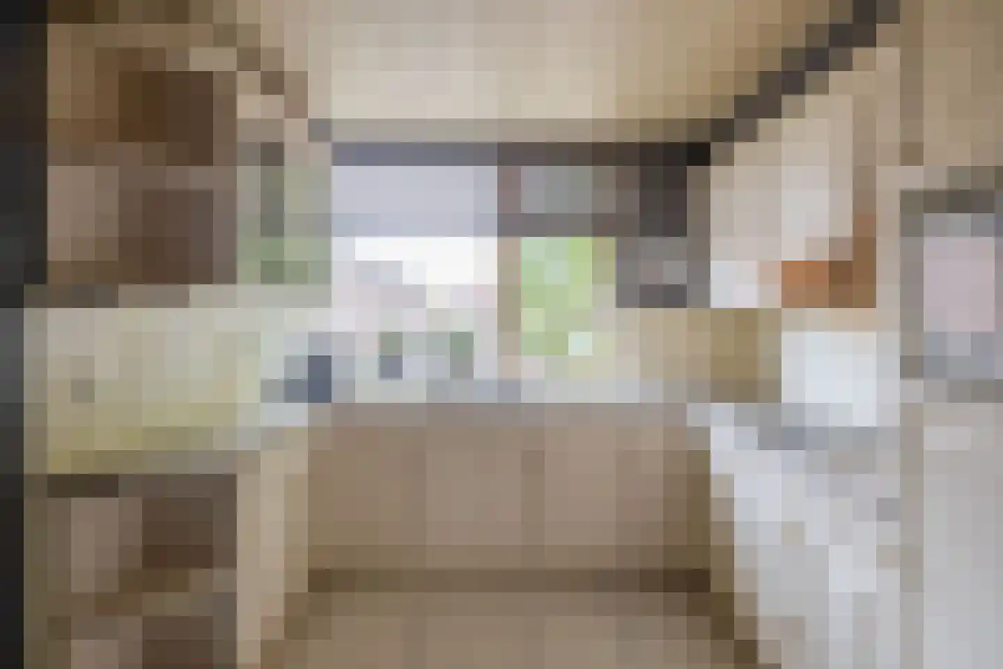 Ellemeetplein 5 Brielle thumbnail 20