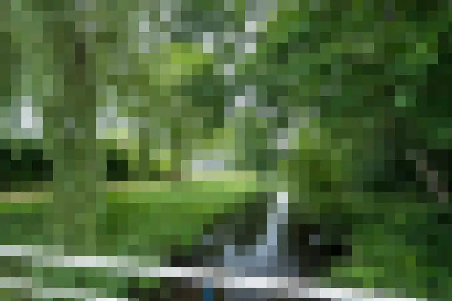 Ellen 43 Assen thumbnail 23