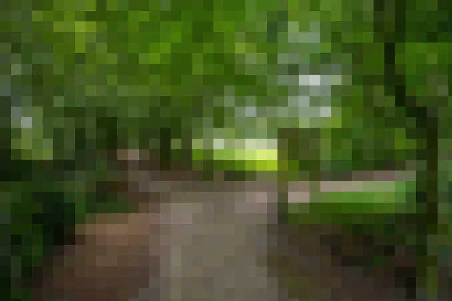 Ellen 43 Assen thumbnail 24